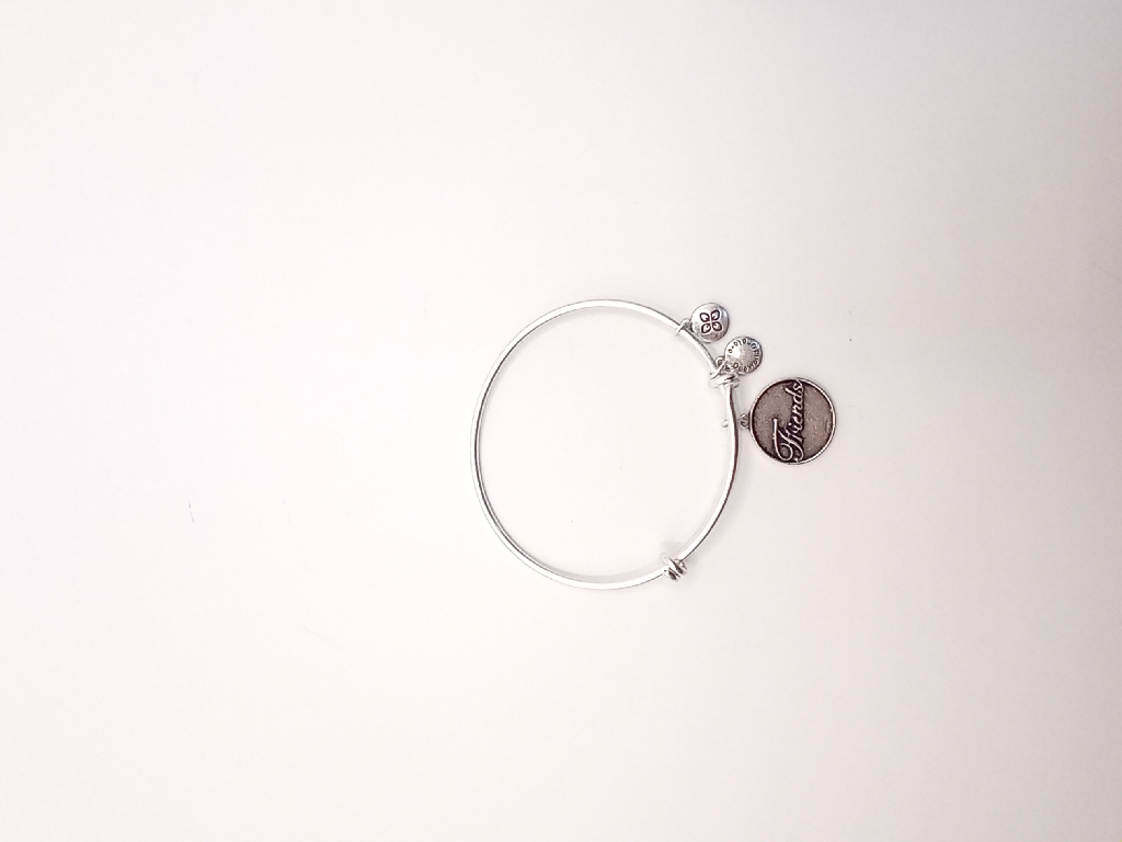 Urban Leaves ULUS009VS Bracelet Charm Silver Metal Bangle Friends Vintage Silver Women - Image 1