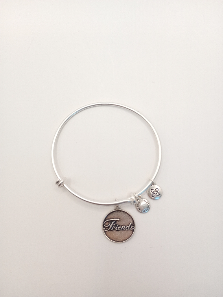 Urban Leaves ULUS009VS Bracelet Charm Silver Metal Bangle Friends Vintage Silver Women - Image 2