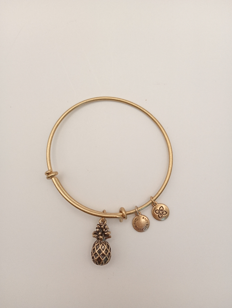 Urban Leaves ULFR001VG Bracelet Charm Gold Metal Bangle Pineapple Gold Tone Women - Image 2