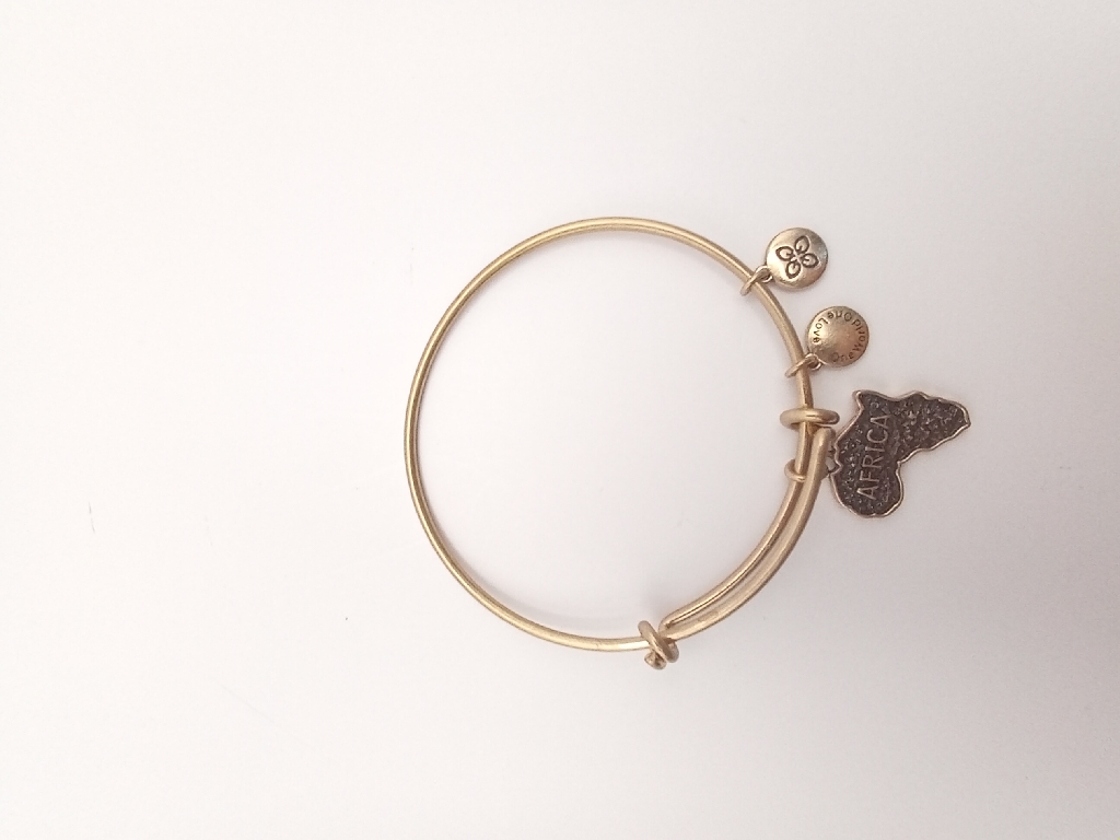 URBAN LEAVES ULPL003VG Bracelet Charm Gold Metal Bangle Africa Map Vintage Gold Unisex - Image 1