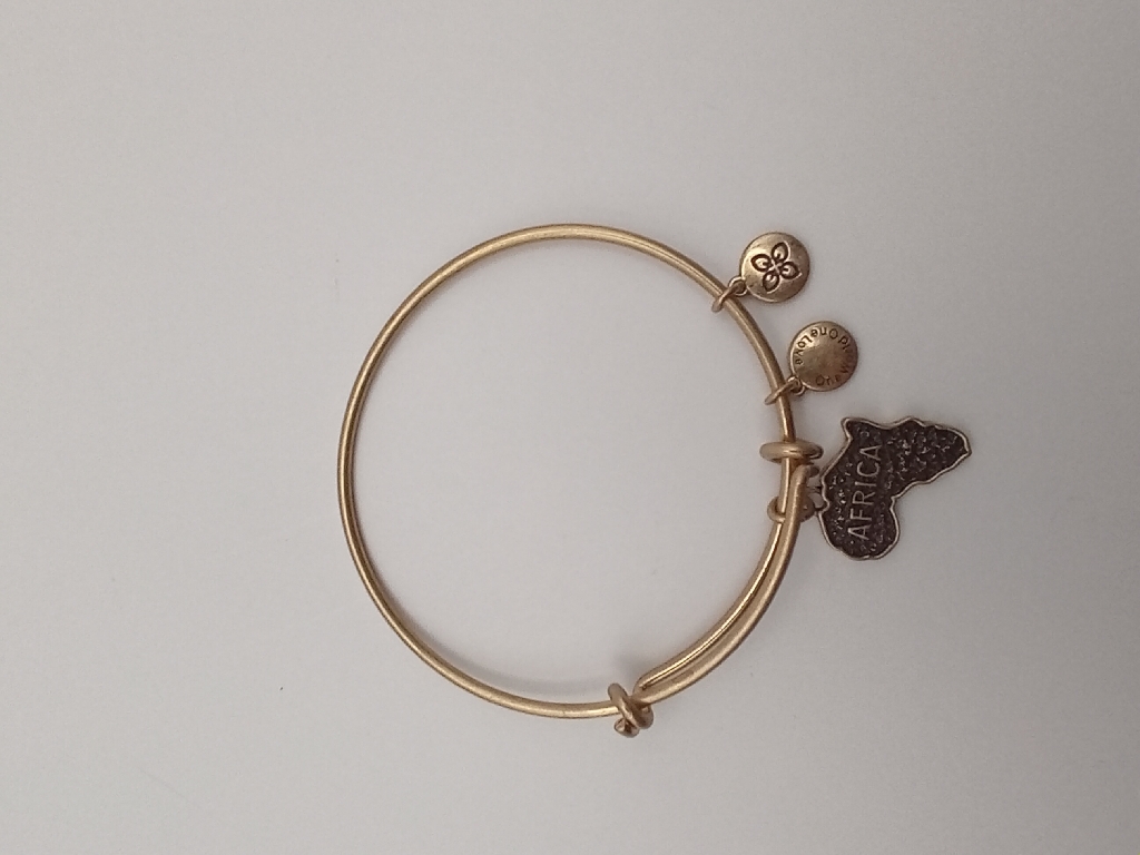 URBAN LEAVES ULPL003VG Bracelet Charm Gold Metal Bangle Africa Map Vintage Gold Unisex - Image 2
