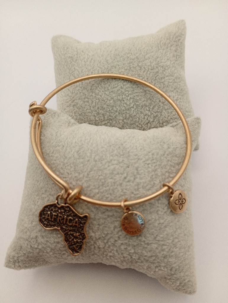 URBAN LEAVES ULPL003VG Bracelet Charm Gold Metal Bangle Africa Map Vintage Gold Unisex - Image 5