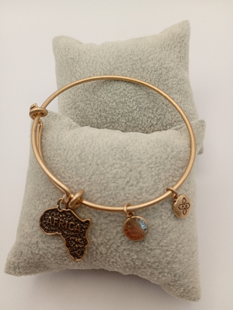 URBAN LEAVES ULPL003VG Bracelet Charm Gold Metal Bangle Africa Map Vintage Gold Unisex - Image 5