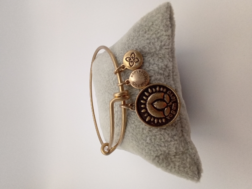 Urban Leaves ULSY006VG Bracelet Charm Gold Metal Bangle Gold Unisex - Image 5