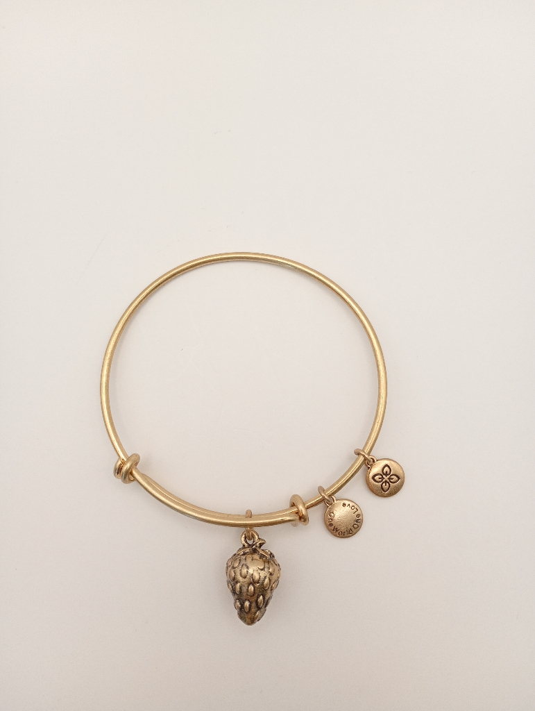 Urban Leaves ULFR002VG Bracelet Charm Gold Metal Bangle Strawberry Gold Unisex - Image 2