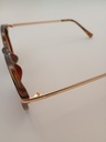 LUX-LENSED LTD 3019GRNGLD Sunglasses Unisex Brown Oval Brown Plastic, Metal - Image 5