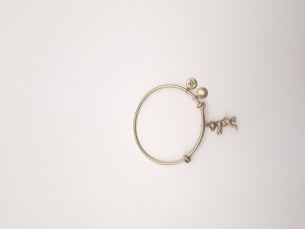 Urban Leaves ULPL001VG Bracelet Charm Gold Metal Bangle Bear Gold Woman