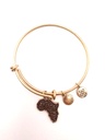 Urban Leaves German Design One World One Love Africa Bangle Gold Unisex