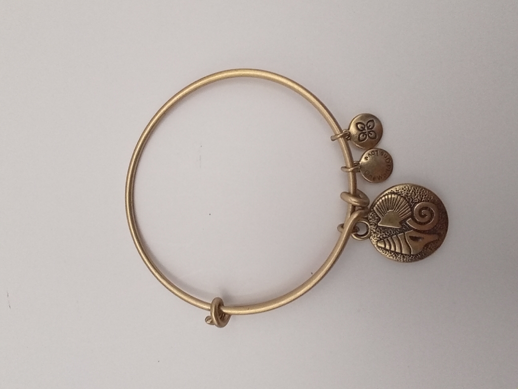 Urban Leaves ULOC003VG Bracelet Charm, Shells Gold Metal Bangle Gold Tone Women