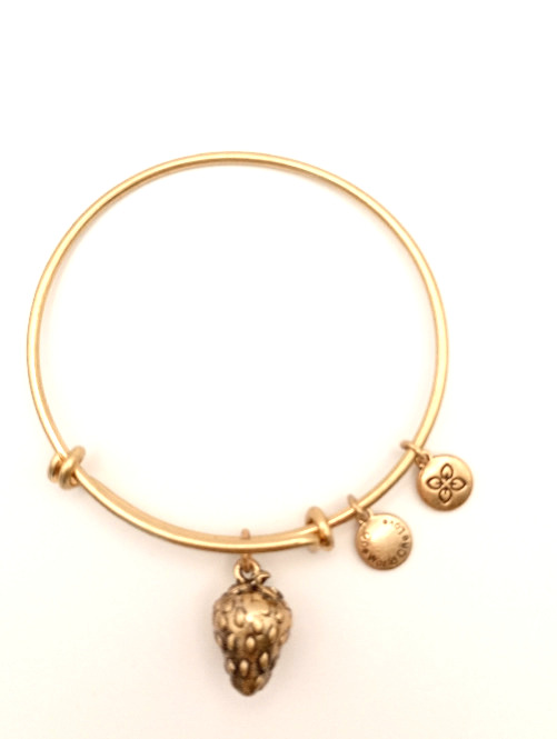 Urban Leaves German Design One World One Love Strawberry Bangle Gold Unisex