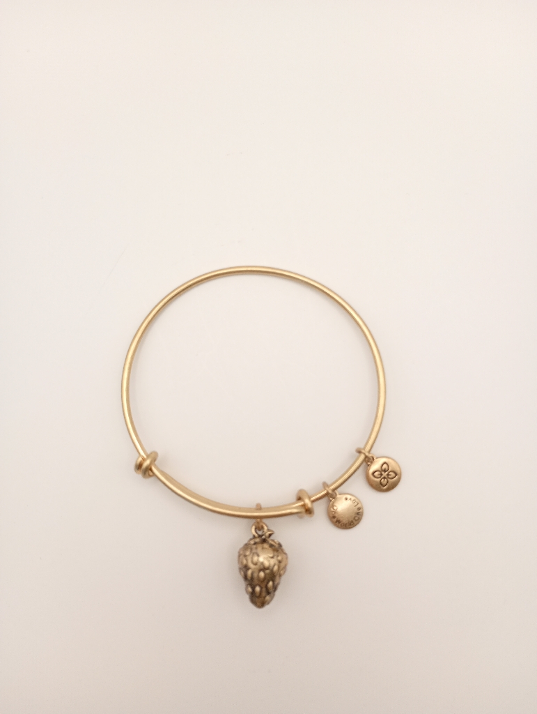 Urban Leaves ULFR002VG Bracelet Charm Gold Metal Bangle Strawberry Gold Unisex