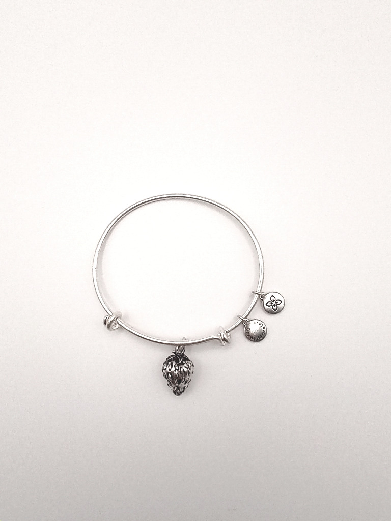 Urban Leaves German Design One World One Love Strawberry Bangle Silver