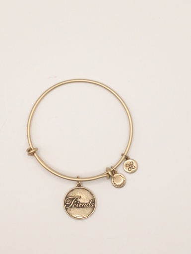 Urban Leaves ULUS009VG Bracelet Charm Bangle Gold Metal Bangle Friends Gold Tone Unisex