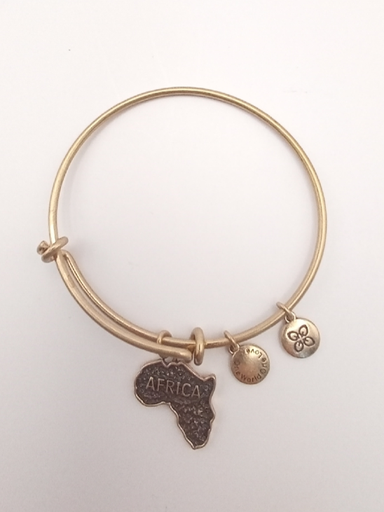URBAN LEAVES ULPL003VG Bracelet Charm Gold Metal Bangle Africa Map Vintage Gold Unisex