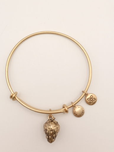 Urban Leaves ULFR002VG Bracelet Charm Gold Metal Bangle Strawberry Gold Unisex