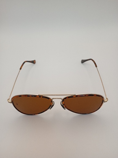 Lux-Lenses SG17SUPB2009BRNGLD Sunglasses Unisex Brown Aviator Brown Plastic, Metal